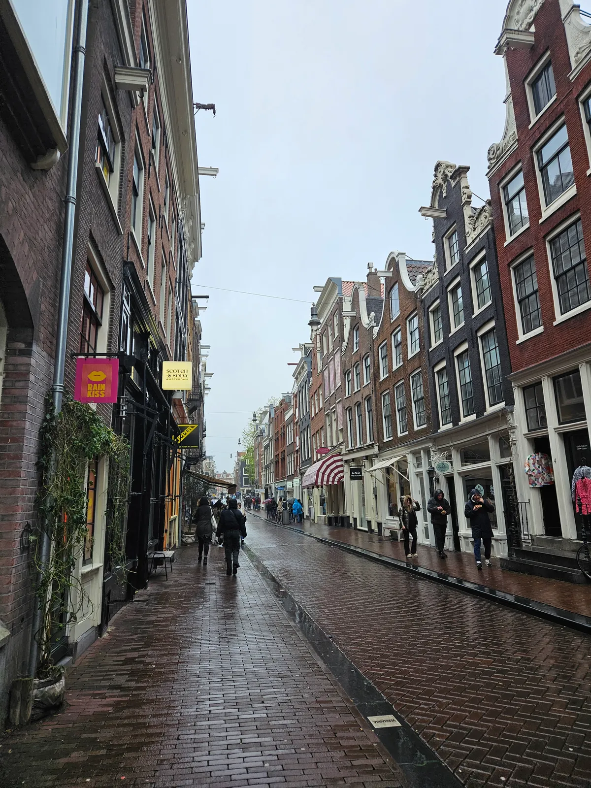 A 3-Day Solo Trip to Amsterdam